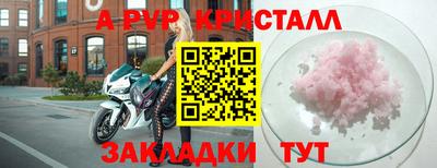 индика Тула