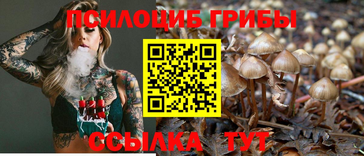 Псилоцибиновые грибы MAGIC MUSHROOMS  Галлюциногенные грибы прущие грибы  Новоалтайск  Вход с VPN 
